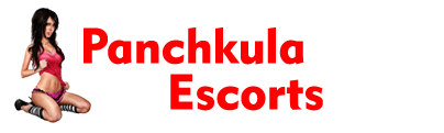 Panchkula Escort Service